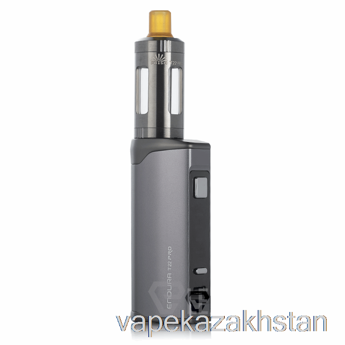Vape Smoke Innokin ENDURA T22 Pro Kit Steel Grey